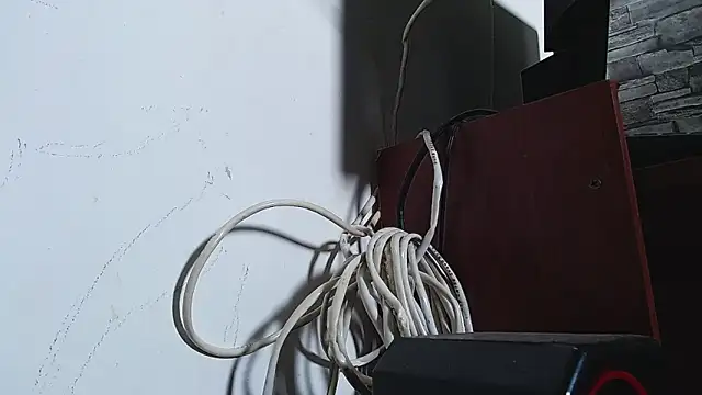 bulguehot's cam snapshot