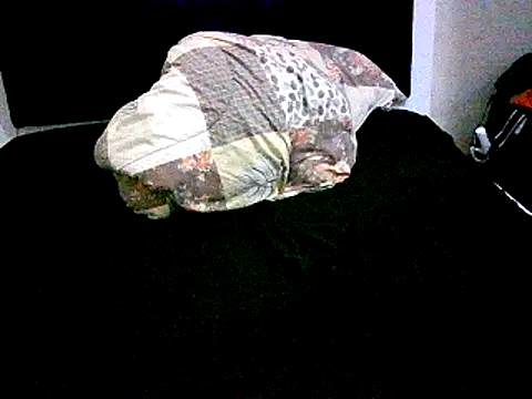 honeypotsweet's cam snapshot