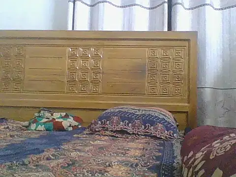 Heartline's cam snapshot