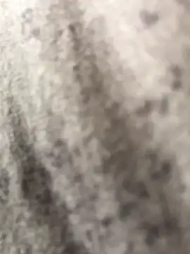 BigCurtis_D live sex cam