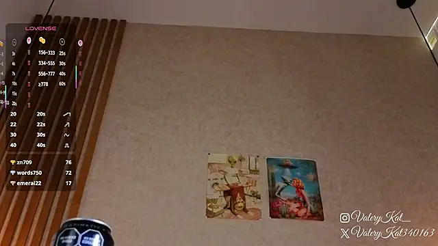 Valerykat_'s cam snapshot