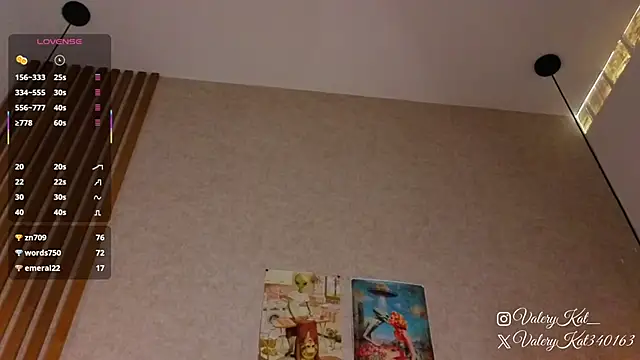 Valerykat_'s cam snapshot