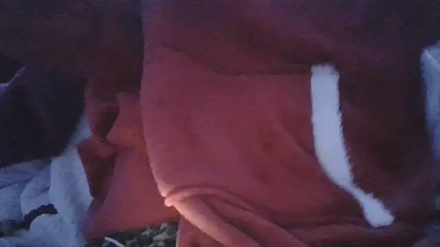 DragoneSFR live sex cam