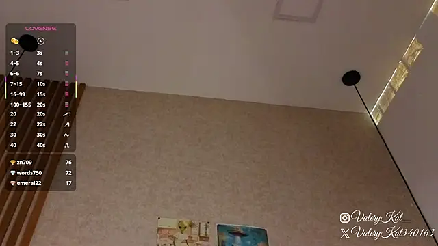 Valerykat_'s cam snapshot