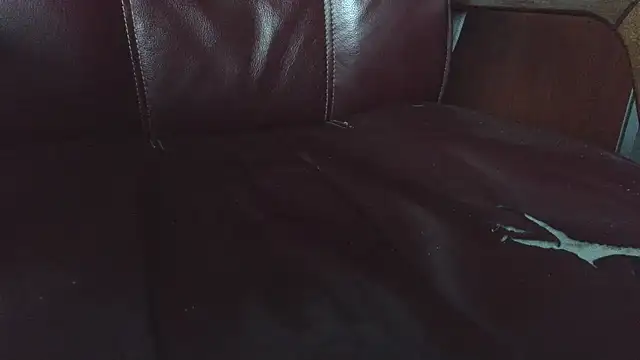 hairyandtiny's cam snapshot