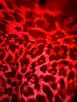 VenezuelaLuxeNoir's cam snapshot