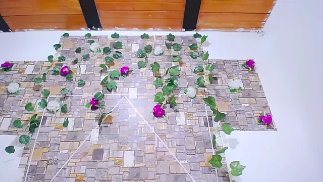 MaidenGame's cam snapshot