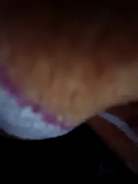 Cutiepie91's cam snapshot