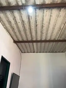 Bigostosa's cam snapshot