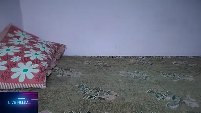 Steffan55's cam snapshot