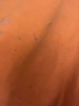 RobsBigD live sex cam