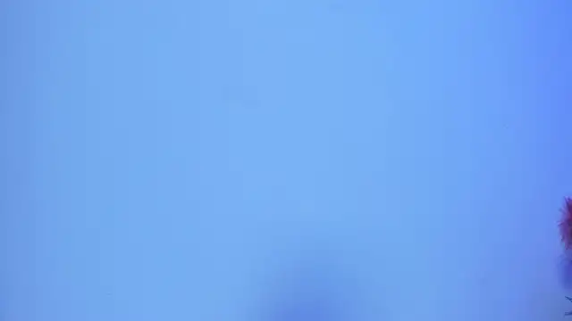 _sofia20_'s cam snapshot