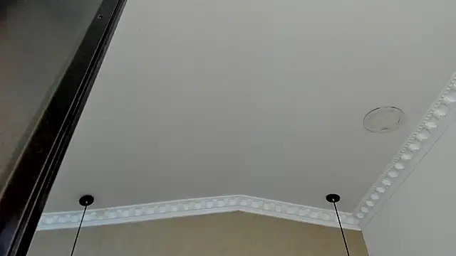 JacksonWillss's cam snapshot