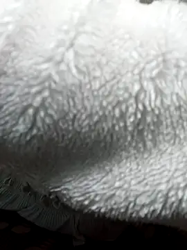 Tasu774's cam snapshot