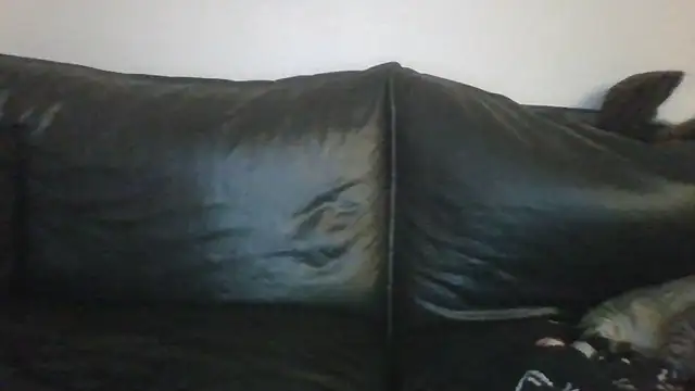 milagaborxx's cam snapshot