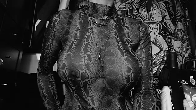 Silentmary's cam snapshot