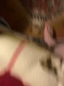 speddy34's cam snapshot