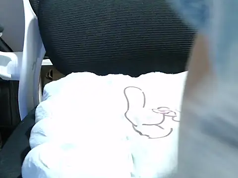 Nian2024's cam snapshot