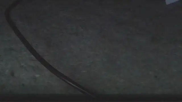 sheiku's cam snapshot