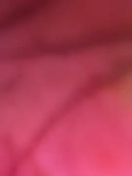 yamini1431's cam snapshot