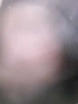 Roberts8inchcock's cam snapshot