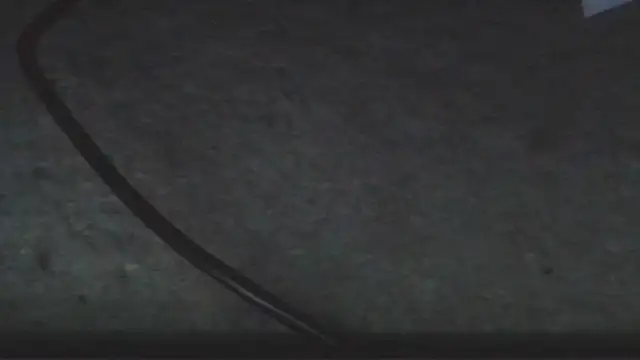 sheiku's cam snapshot