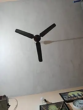 Meri-javani's cam snapshot