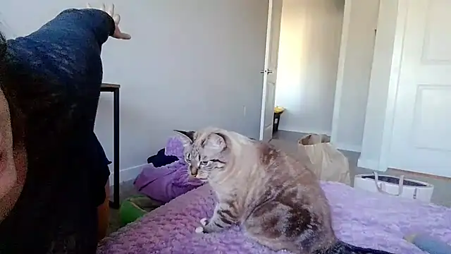 maddiliz's cam snapshot