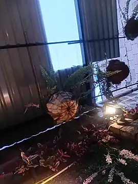 aurora_sky11's cam snapshot