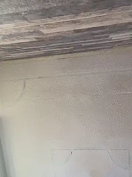 Abby-LS live sex cam