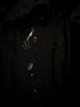 dracoredemon live sex cam