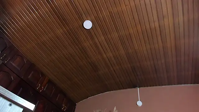 Elecktra_sweet's cam snapshot