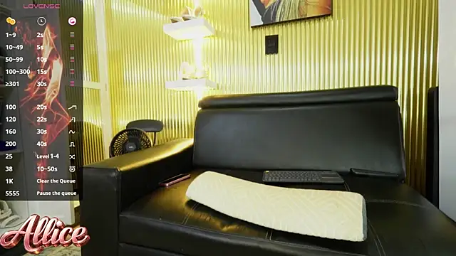 Sexy_Allice's cam snapshot