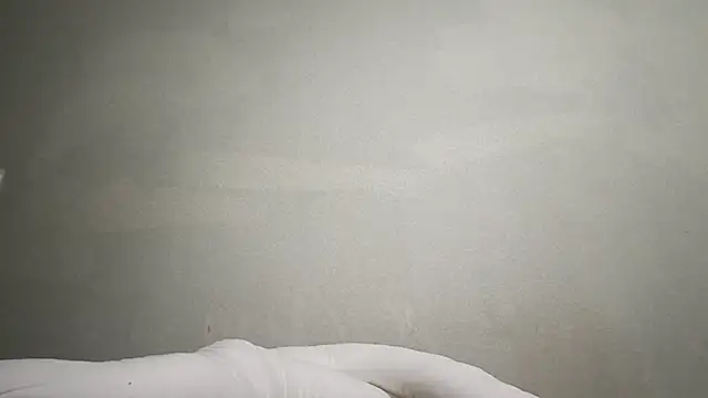 AyanamiPepe's cam snapshot