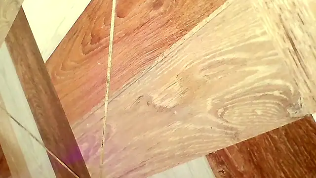 shannon_kinne_'s cam snapshot