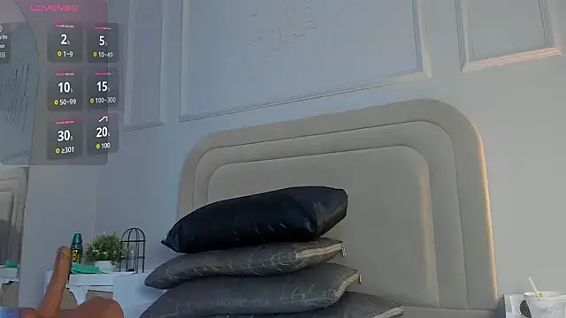 Anamonrroe's cam snapshot