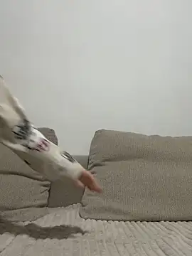 OutsiderMuse's cam snapshot