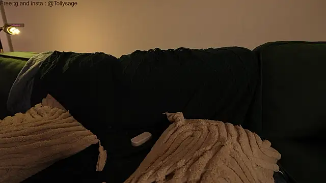 SenSage's cam snapshot