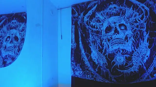 mikaskullcs's cam snapshot