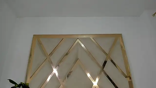 Selenaasm's cam snapshot