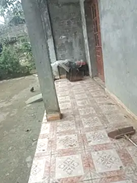 baby7005's cam snapshot