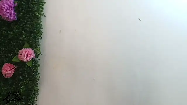 julieta_aguilar1's cam snapshot