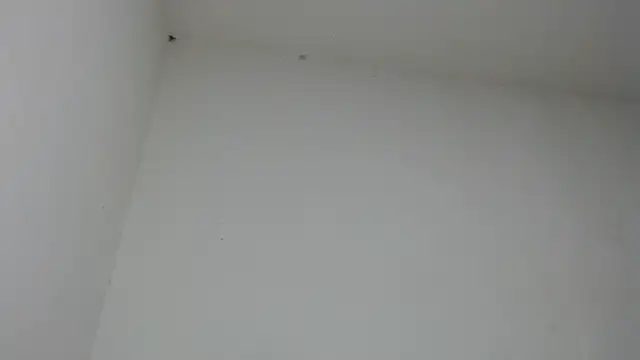 drako_monster's cam snapshot