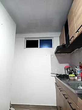 stivenlujan69's cam snapshot