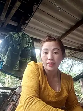 seacyre's cam snapshot