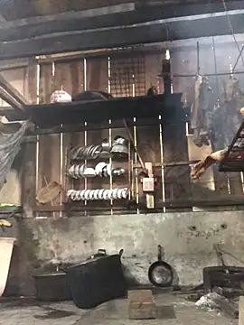 bae-asian's cam snapshot