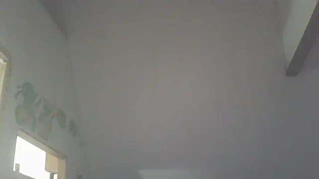 Smurfschmidt's cam snapshot