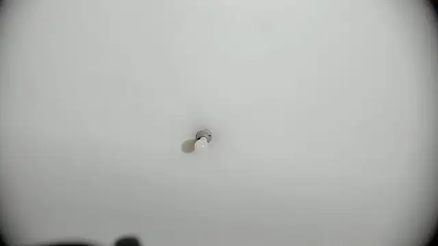 Rosse__Carter1's cam snapshot