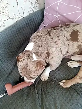 Lovers__Annn's cam snapshot