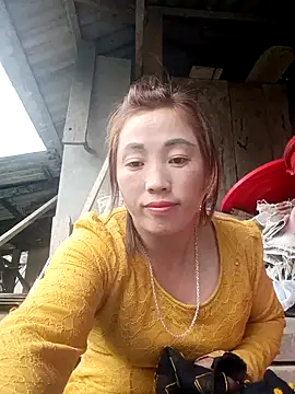 seacyre's cam snapshot